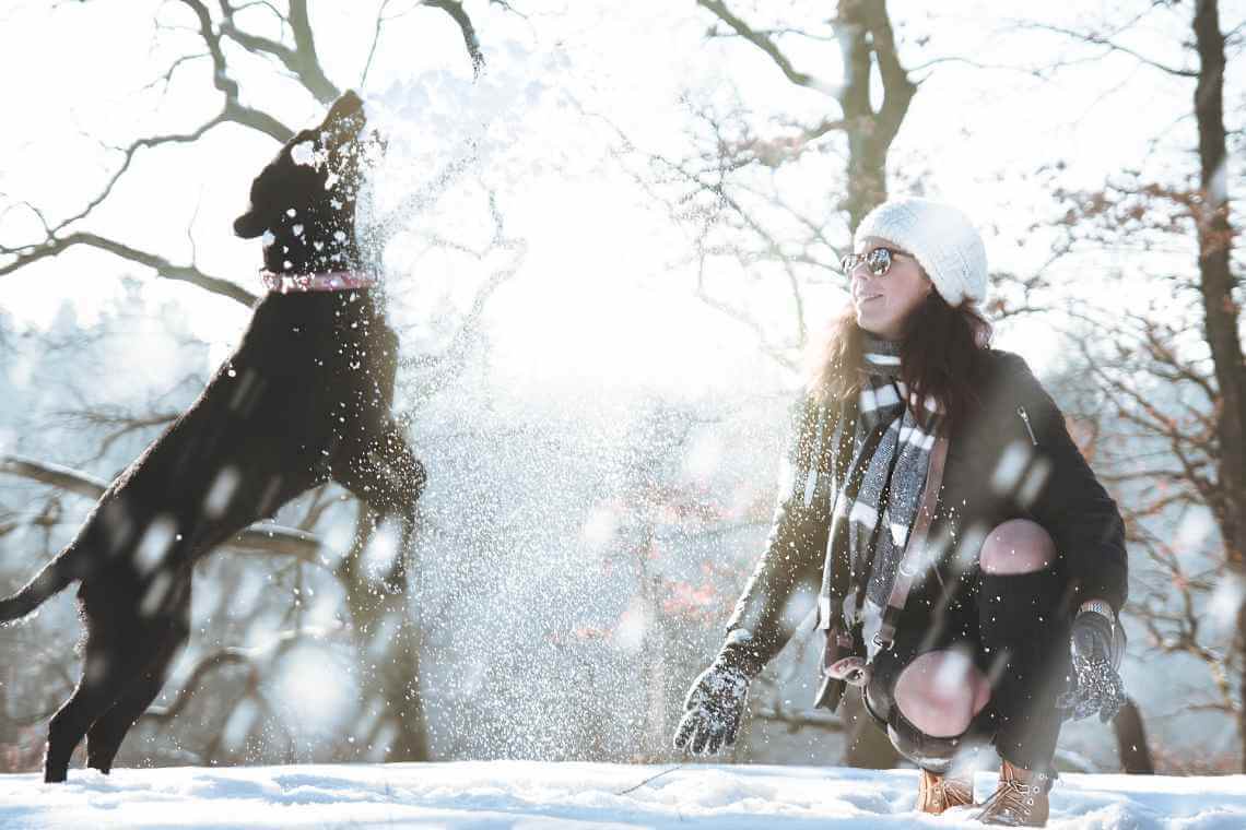 16 Tips to Keep Your Dog Safe and Comfortable During Winter Weather