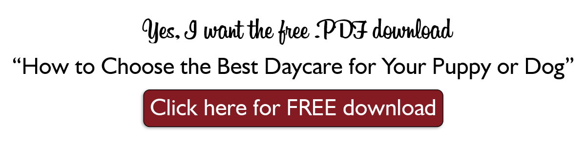FREE-DOWNLOAD-How to Choose the Best Dog Daycare for Your Puppy or Dog