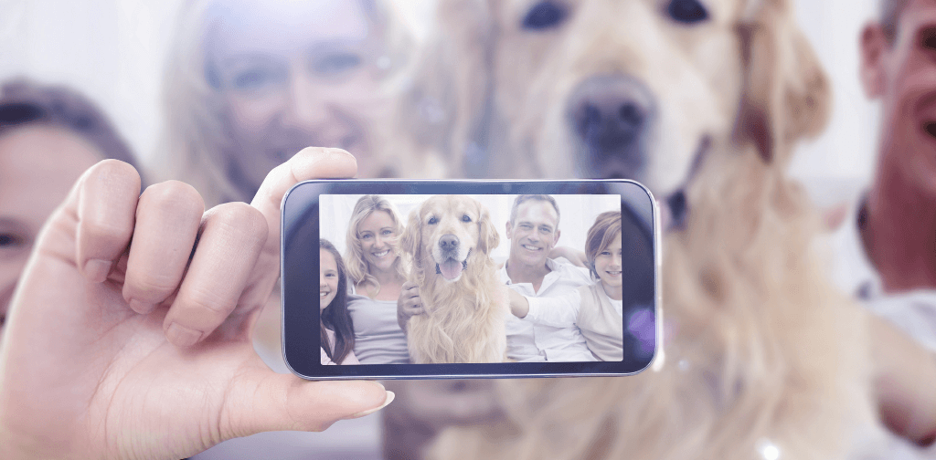 New Google Photo App Adds Fun for Dog Lovers