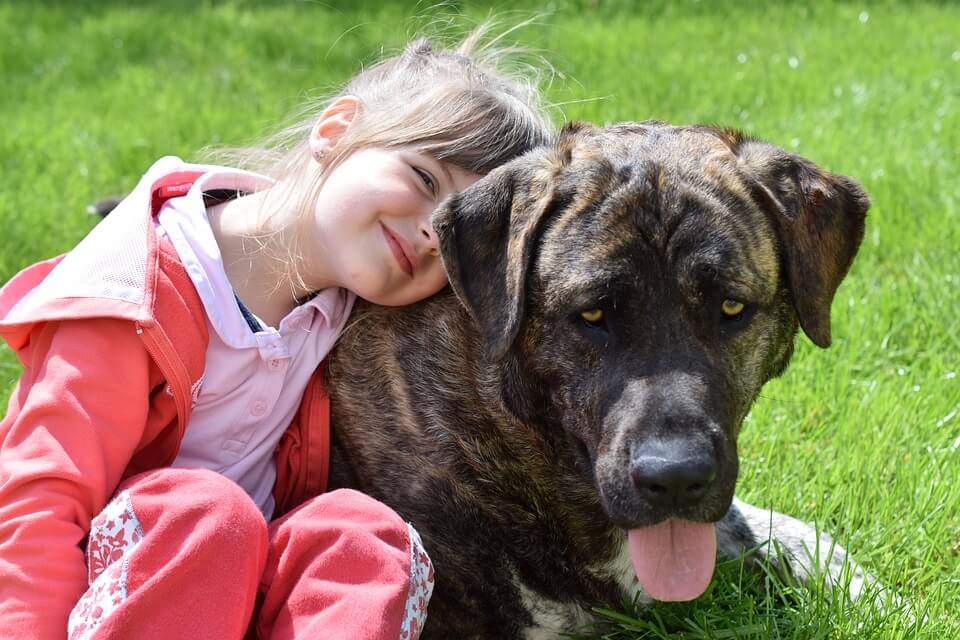 There is a very strong bond between children and their pets