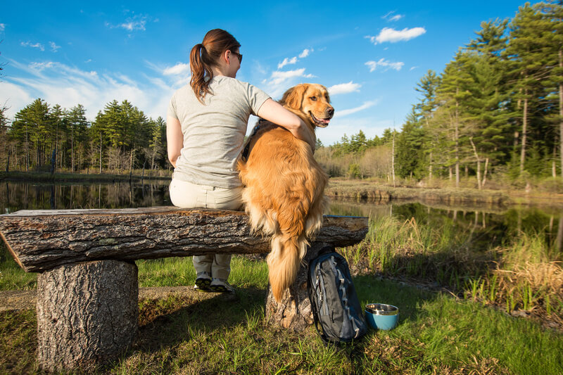 hiking with golden retreiver