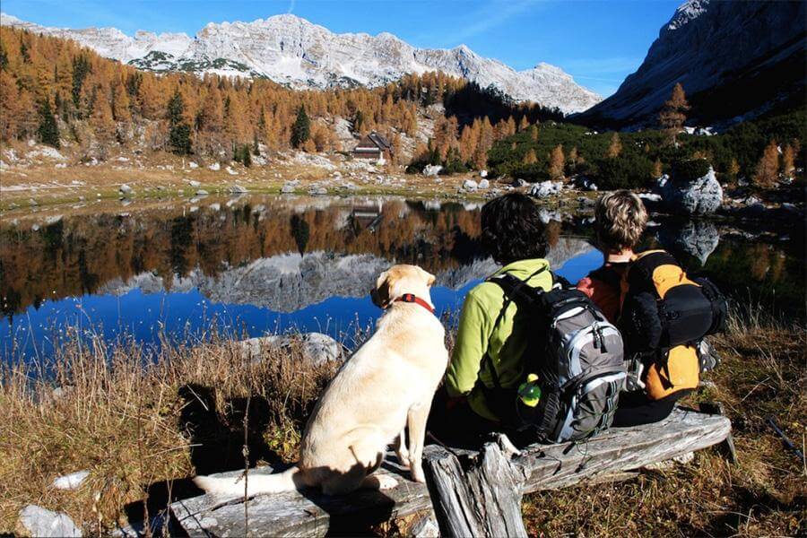 mountain hiking with dog