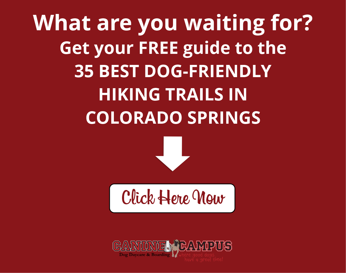Click here - Dog-Friendly Hiking Trails in Colorado Springs