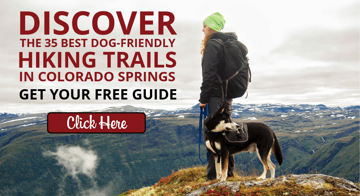 [FREE GUIDE DOWNLOAD] 35 Best Dog-Friendly Hiking Trails in Colorado Springs