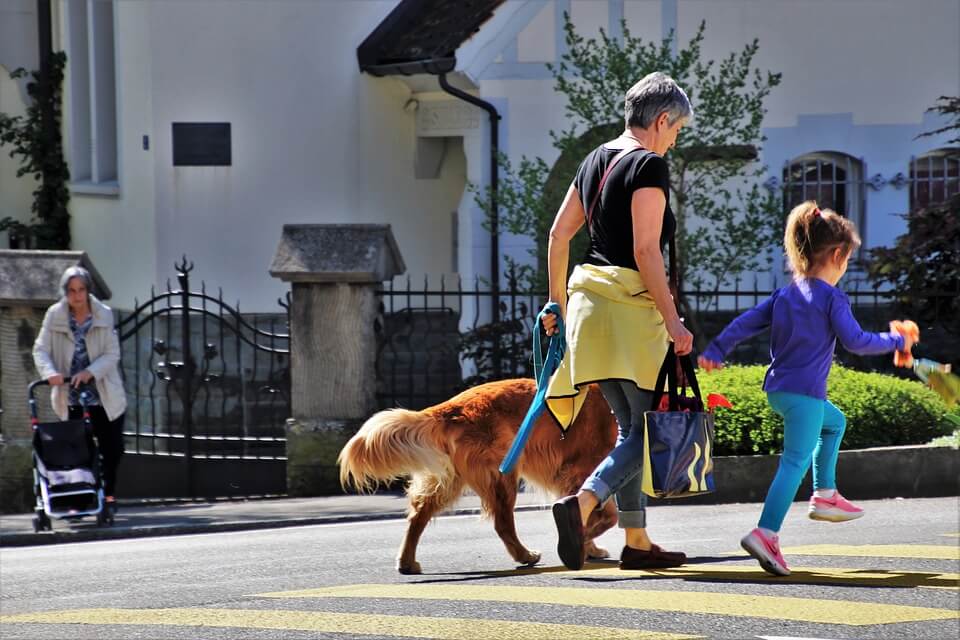 dogs on leash going for walk with grandma and granddaughter