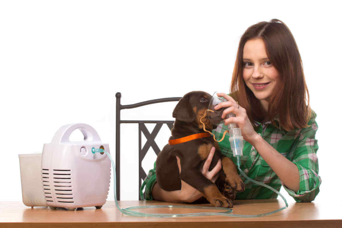 Does Your Dog Have Asthma?