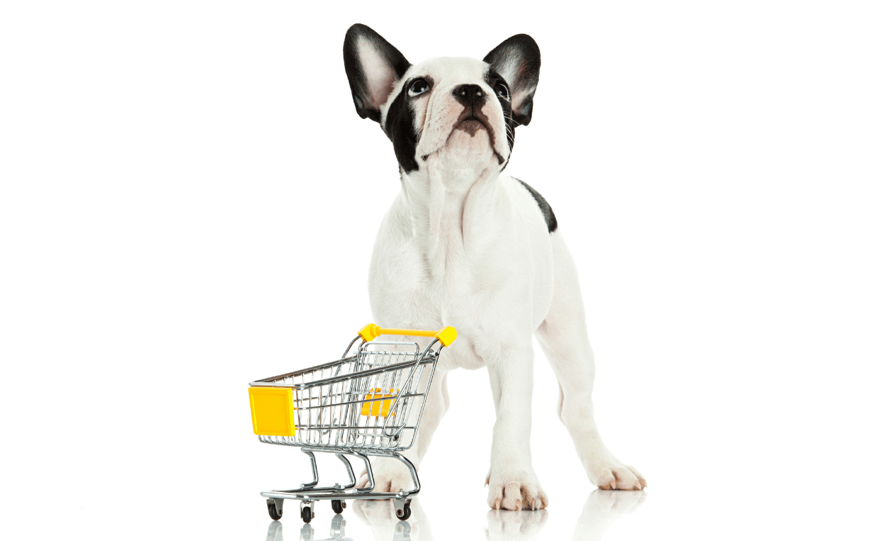 puppy and shopping cart