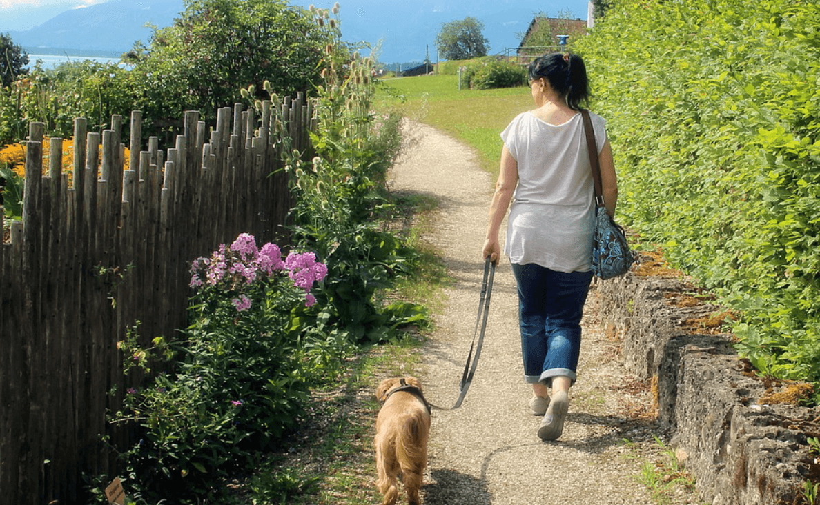 Why Walking Your Dog is So Important