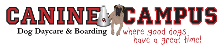 canine campus logo