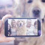 New Google Photo App Adds Fun for Dog Lovers