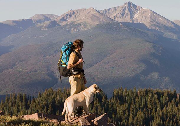 Dog 17 new hiking 610x428 Canine Campus Dog Daycare Boarding