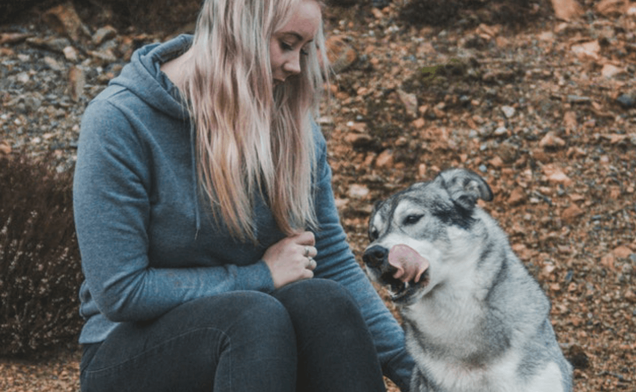 check your dogs weight