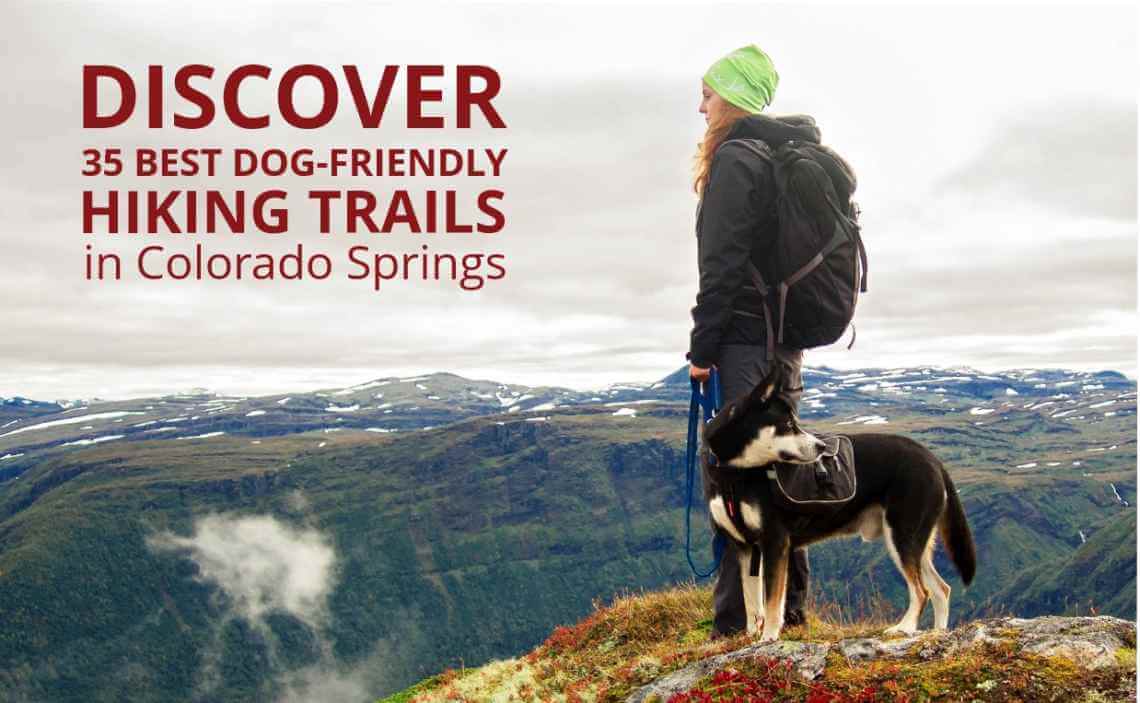 Best dog friendly deals hiking trails near me