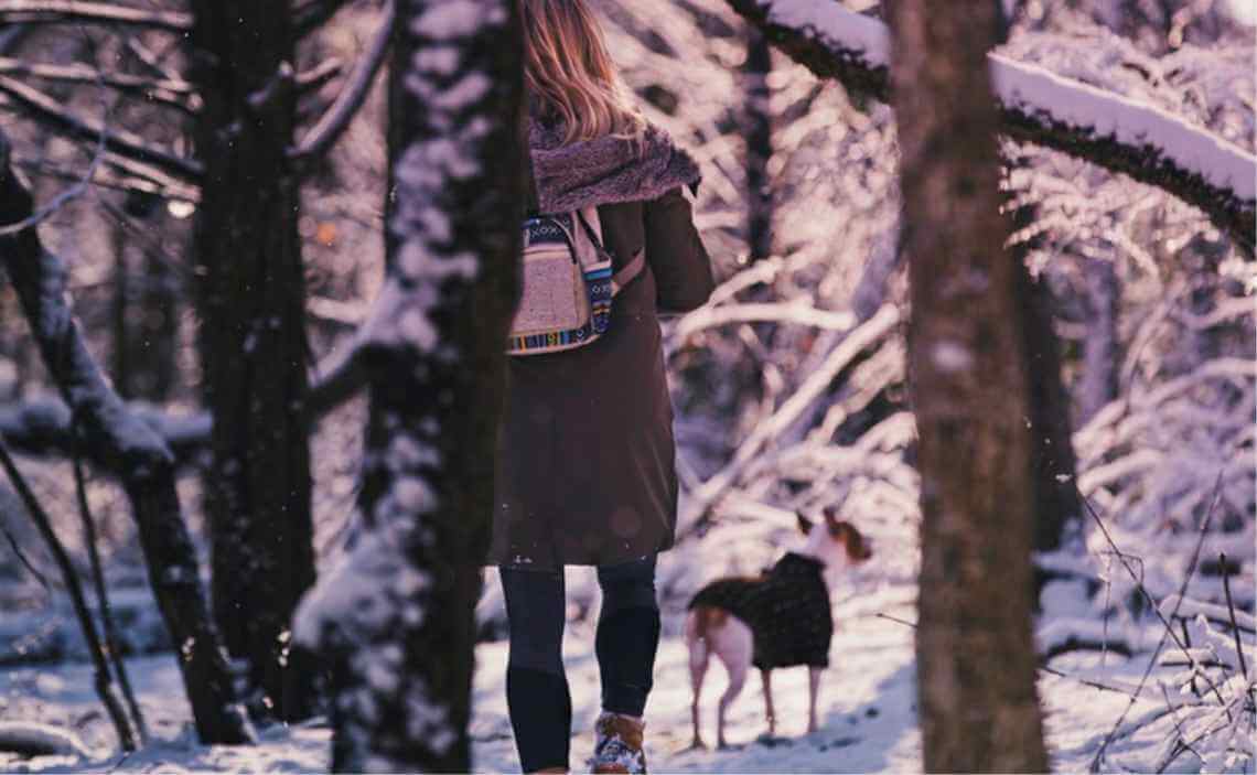 person and dog hiking at dusk in winter