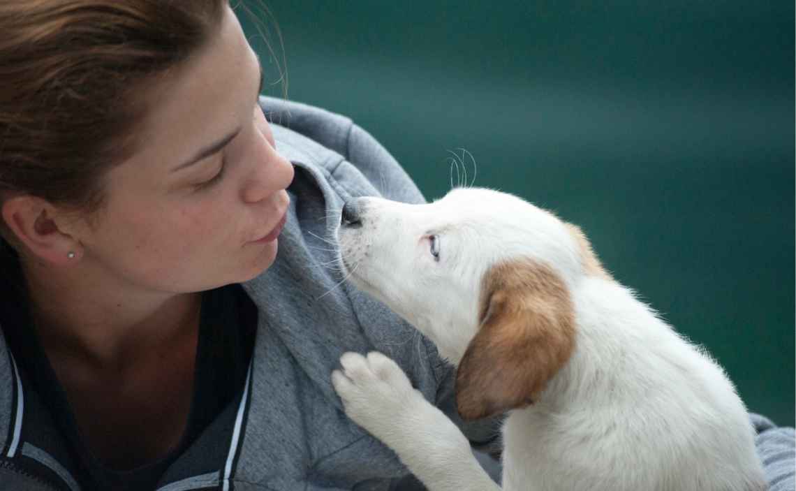 puppy love woman and dog