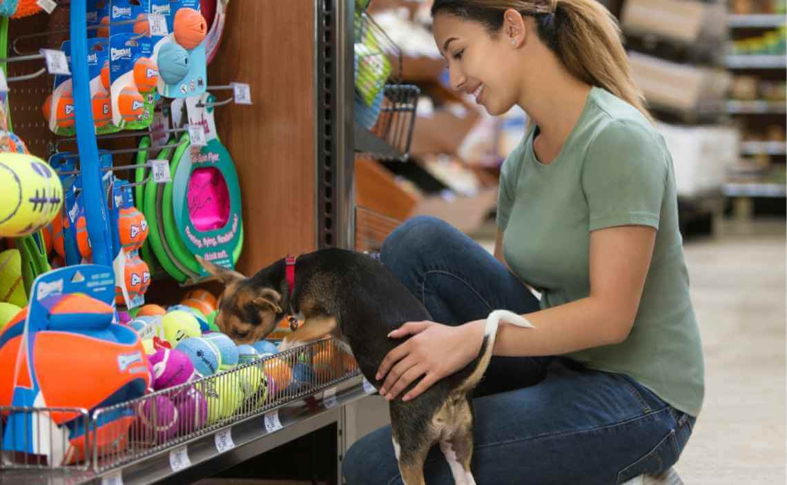 puppy shopping for toys at pet store