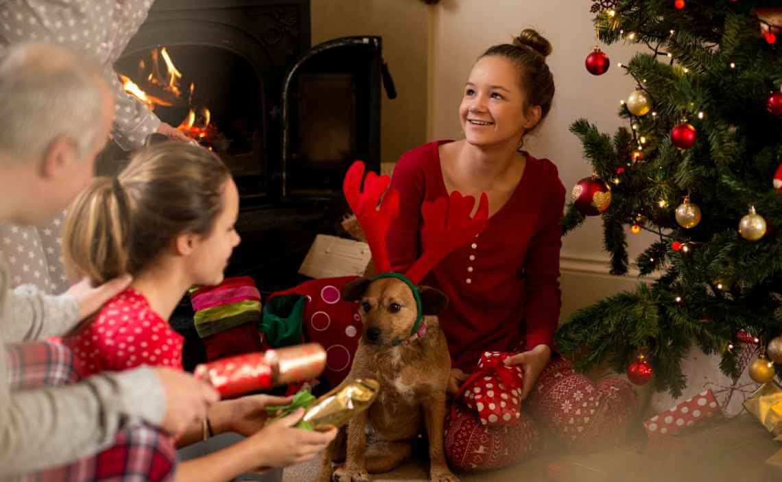 opening Christmas presents with dog