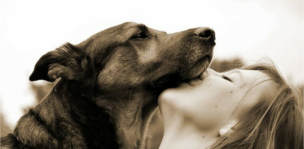 doggy daycare groom dog care with love