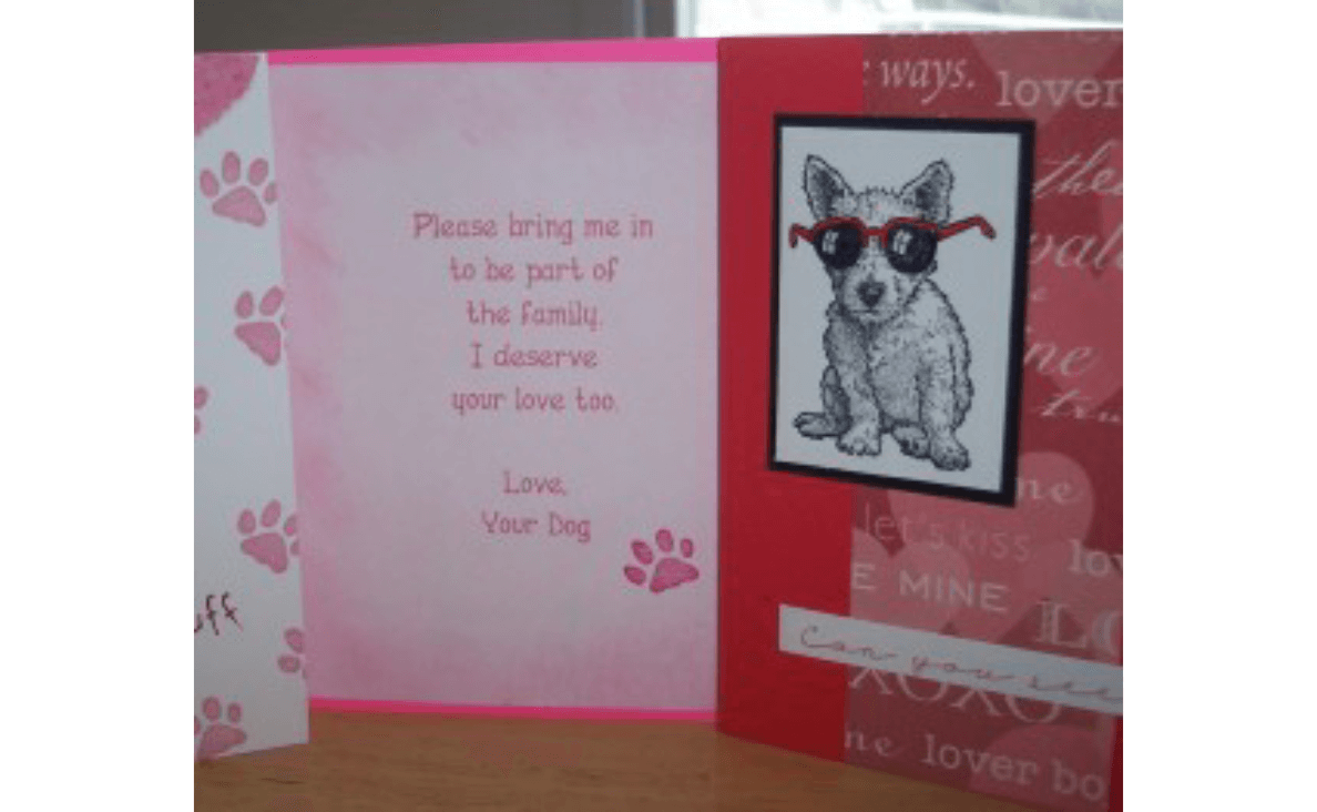 dogs deserve better valentines day card