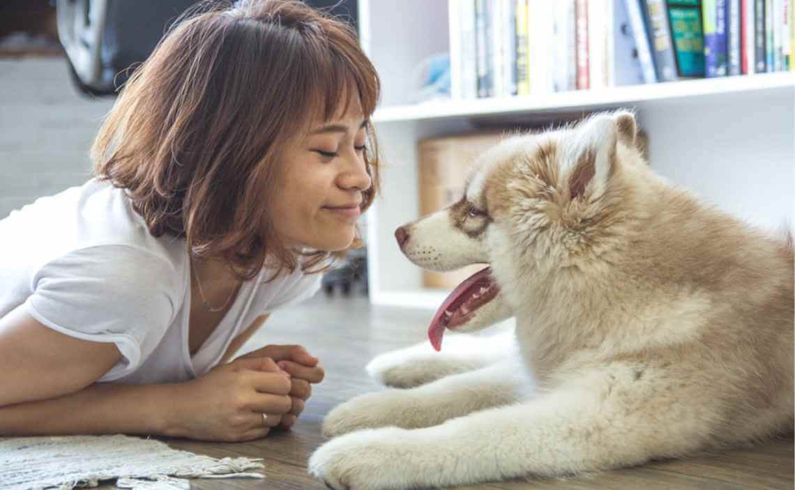 woman loving husky dog in living room