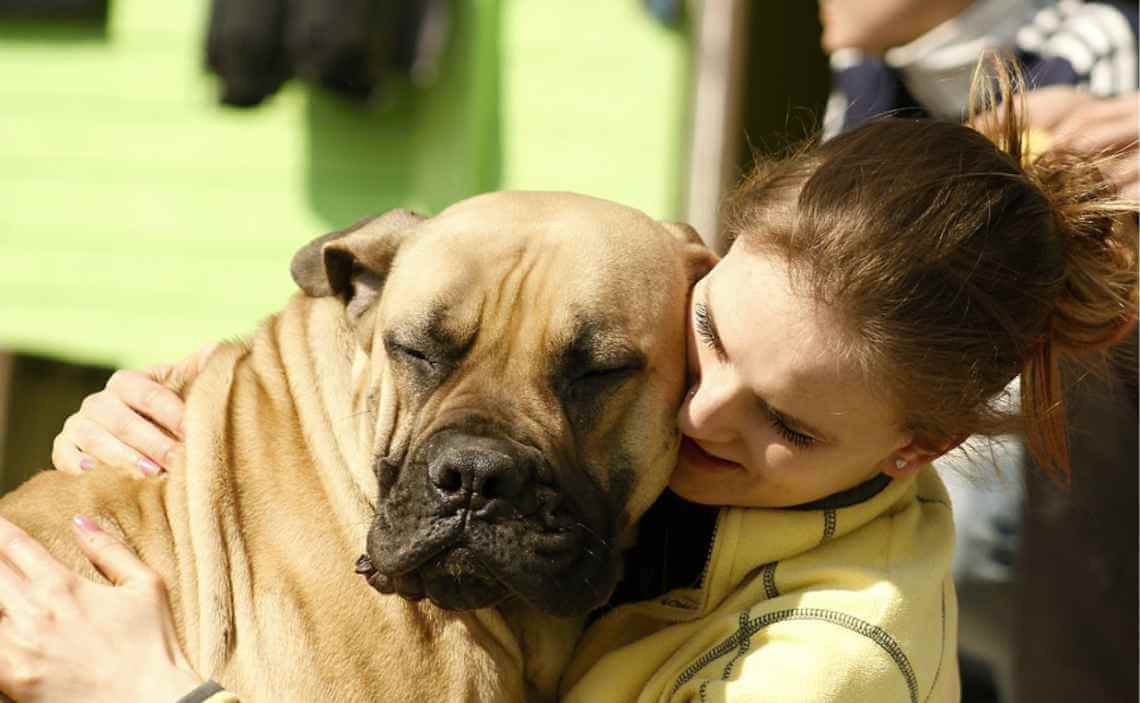 woman showing love to big dog yellow tone