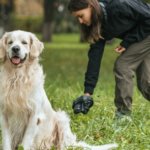 What Should Your Dog’s Poop Look Like?