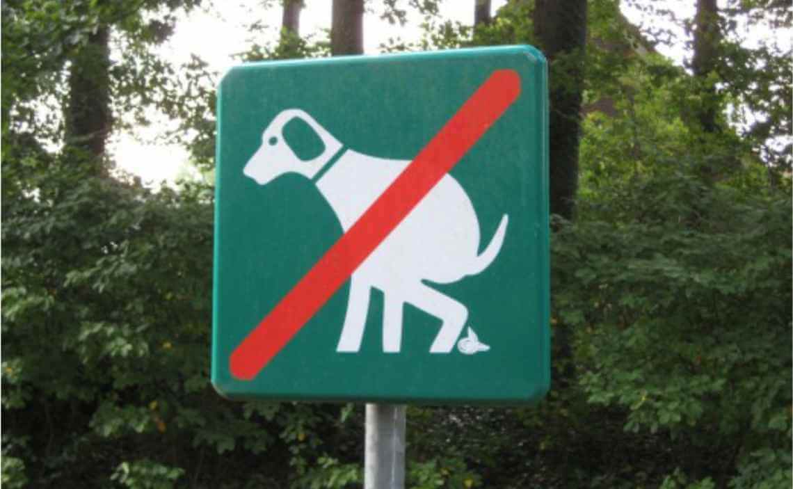 SIGN NO DOG POOPING