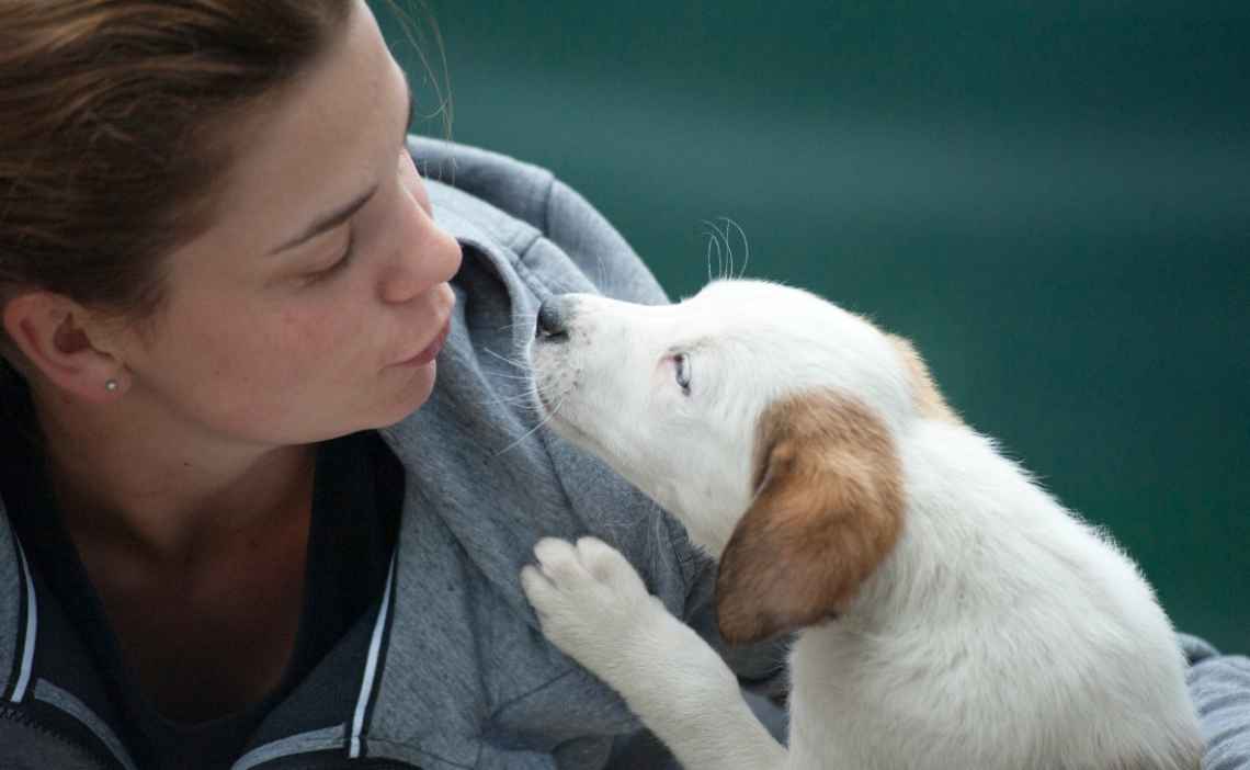 puppy and woman kissing