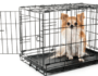 7 Reasons You Should Crate Train Your Dog