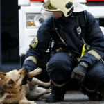 National Pet Fire Safety Prevention Day