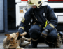 National Pet Fire Safety Prevention Day