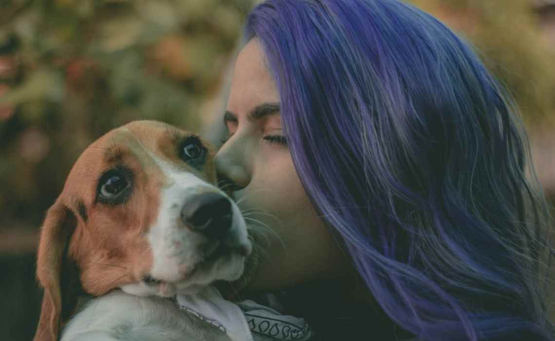 dog found beagle woman with purple hair