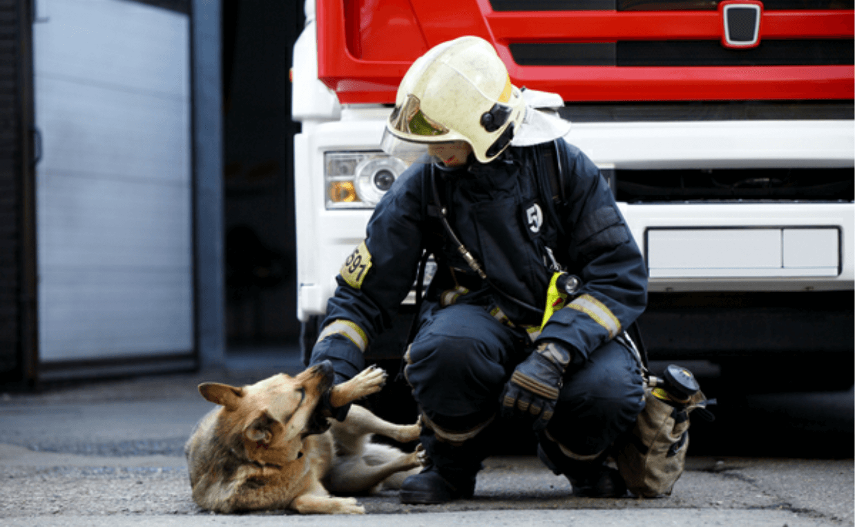 pet fire safety