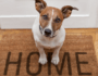 Find Rental Housing for You and Your Dog
