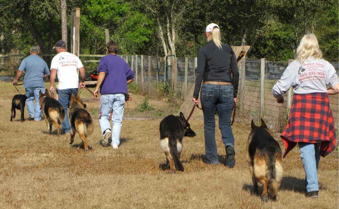 DOG OBEDIENCE TRAINING CLASS