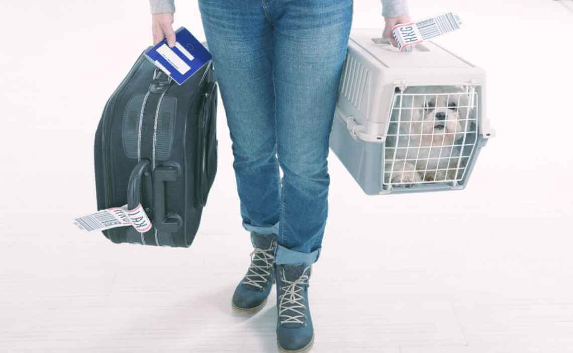 woman at airport with luggage and dog in carrier