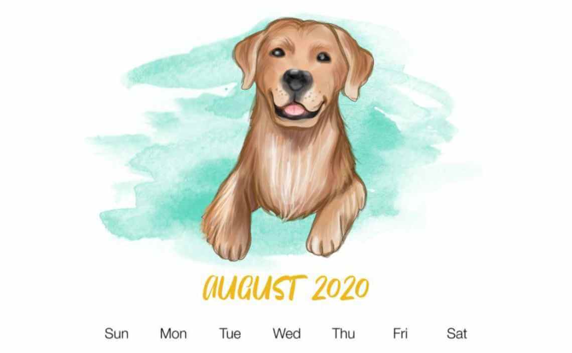 dog calendar