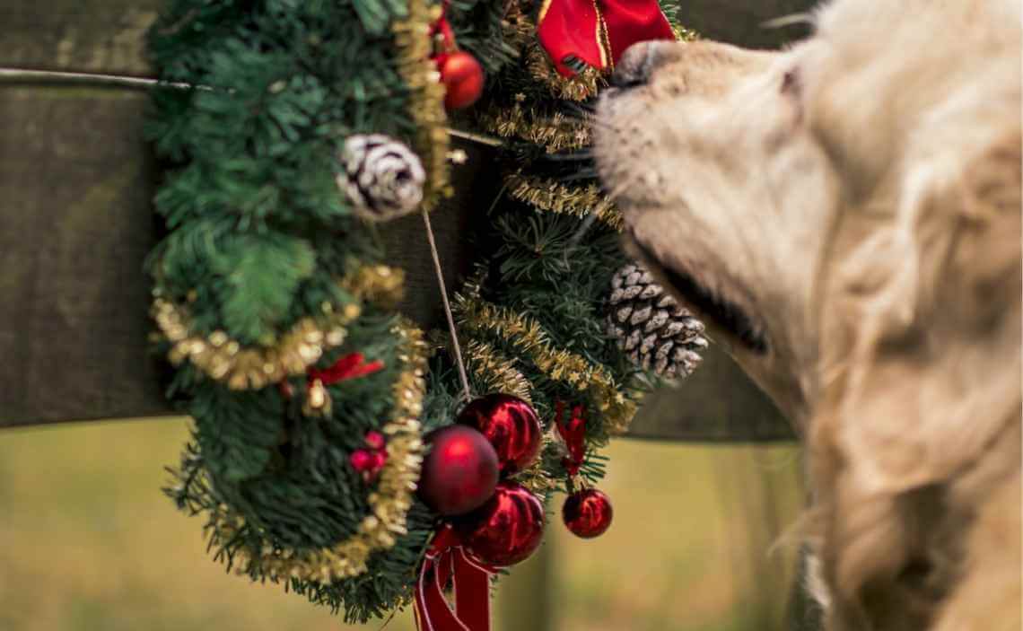 dog sniffing christmas ornament 2019
