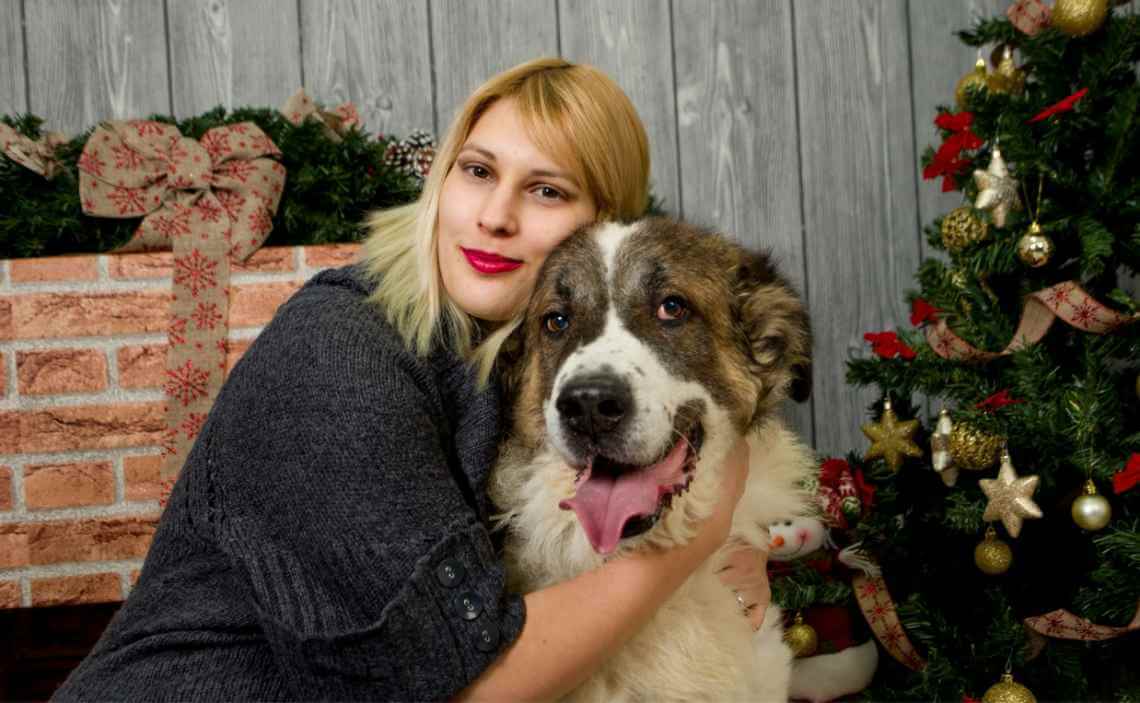 woman and st bernard dog christmas 2019
