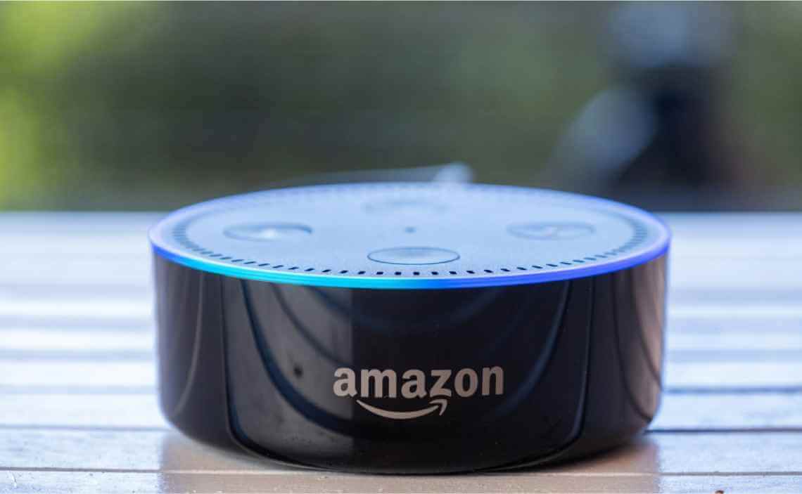 extra blog image - TOP 10 ALEXA SKILLS FOR DOG OWNERS