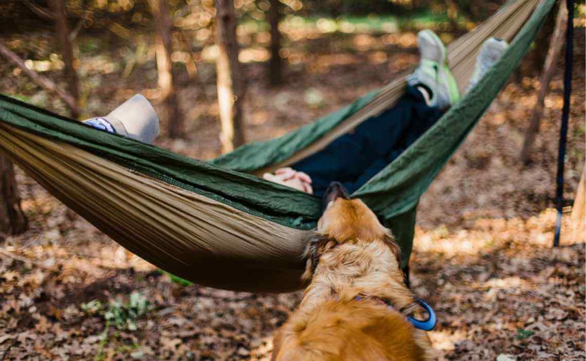 hammock dog winter camping