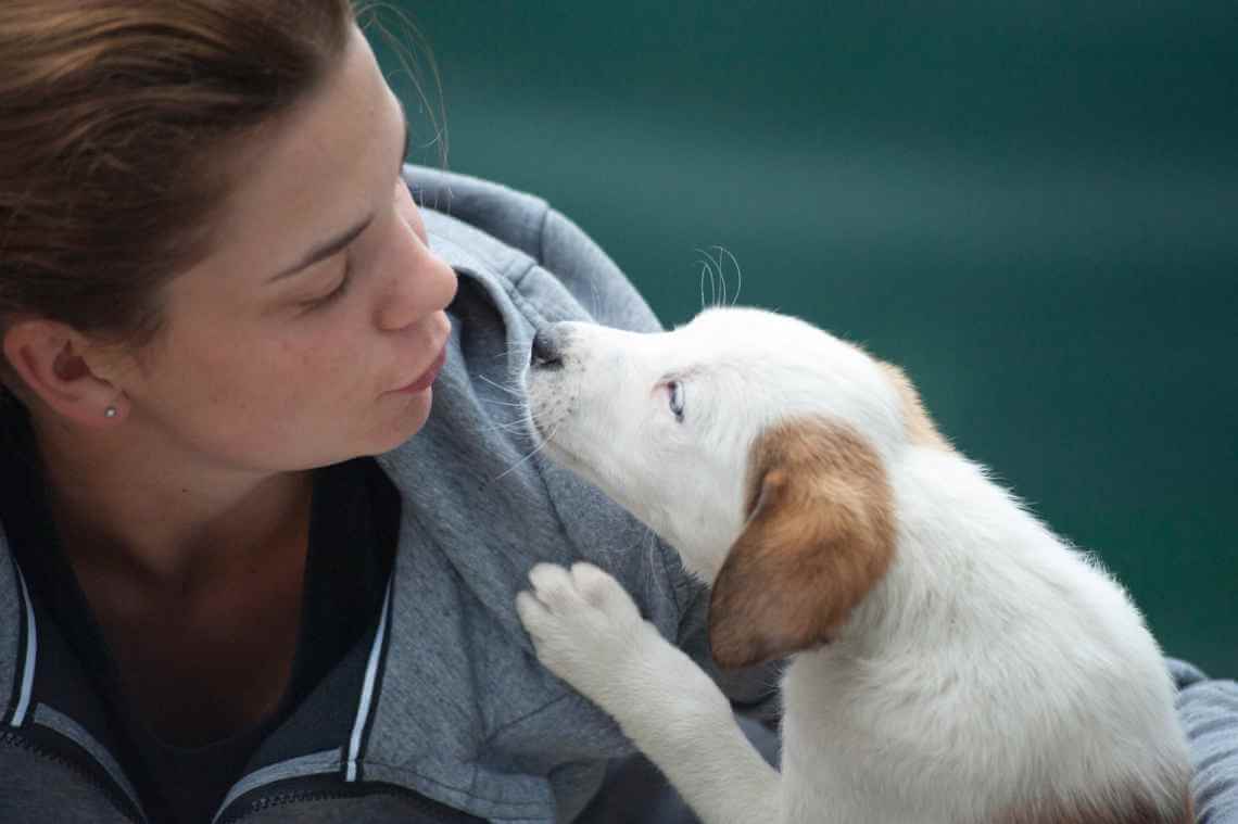 sweet puppy with woman