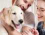 How to Choose the Best Insurance for Your Dog