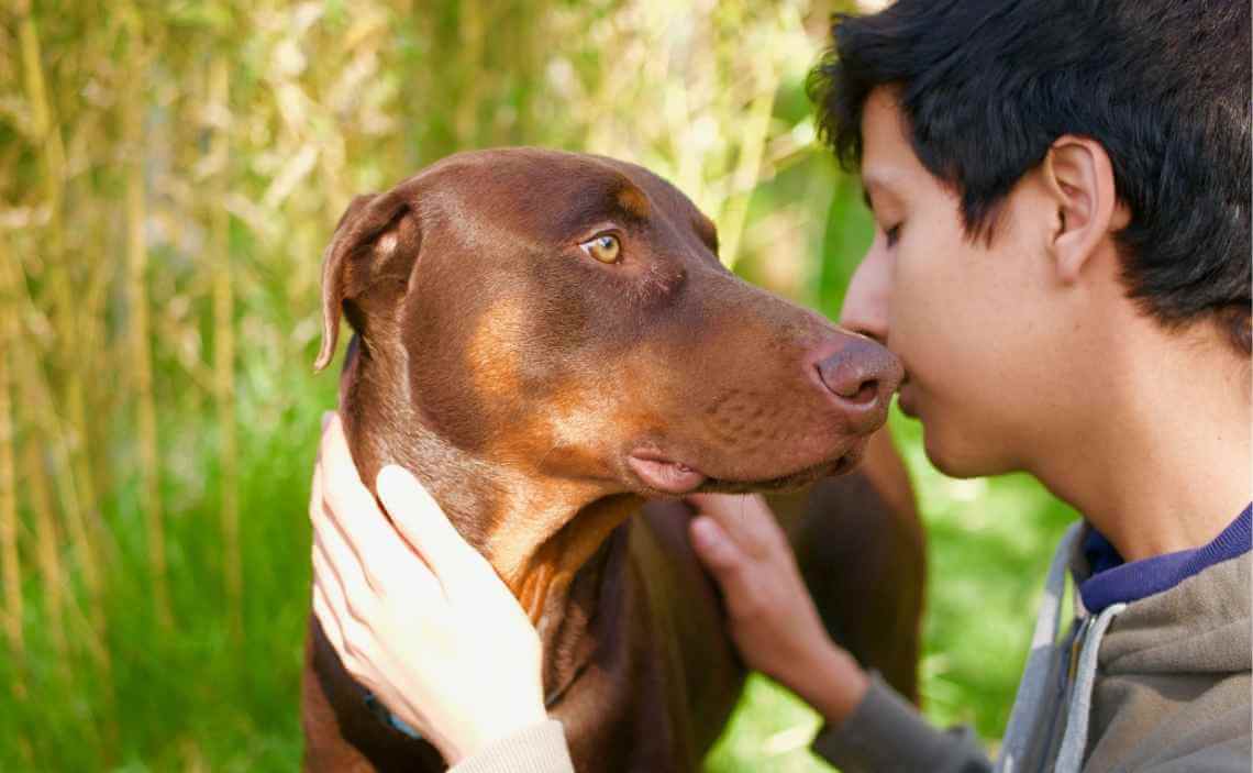 BOY WITH RED HOUND DOG