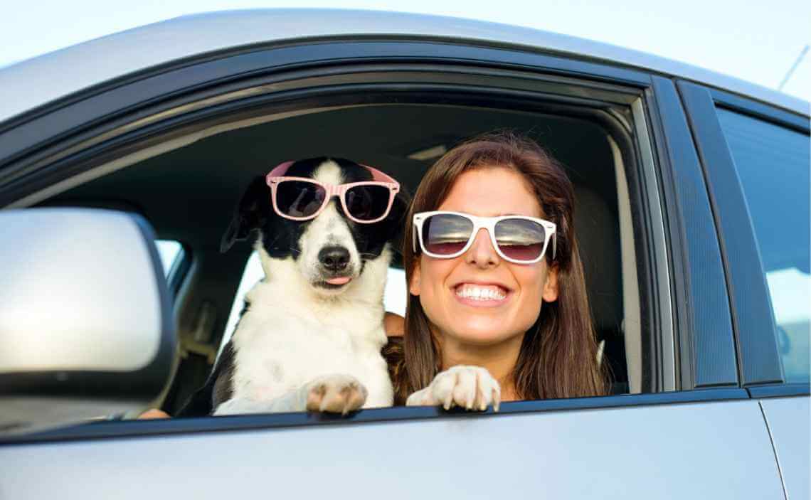 DOG AND WOMAN IN CAR WITH SUNGLASSES ON