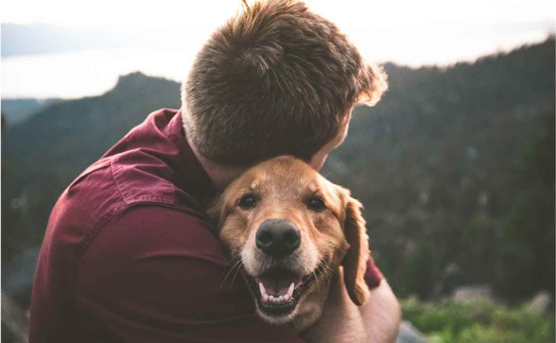 MAN HOLDING SENIOR DOG