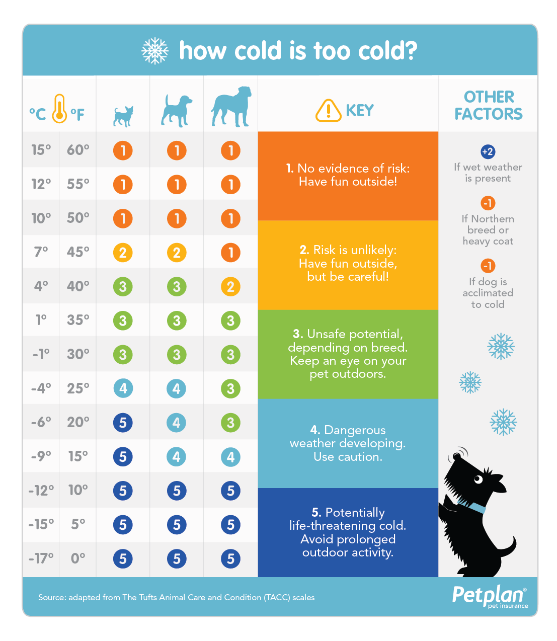 PETP_2245_HowColdIsTooCold_Infographic_0918