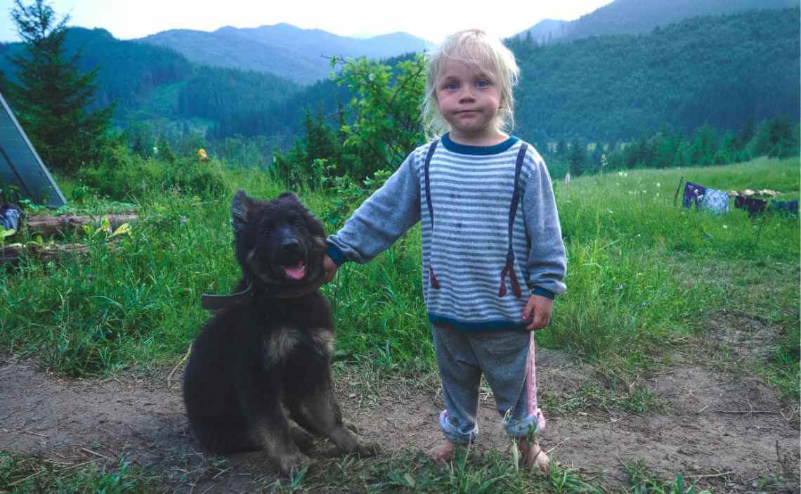 YOUNG CHILD WITH GERMAN SHEPHERD DOG OUTDOORS