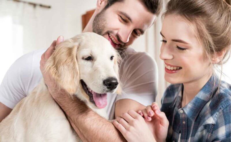 How to Choose the Best Insurance for Your Dog Canine