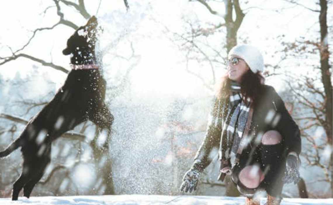 woman playing with dog in snow winter cold